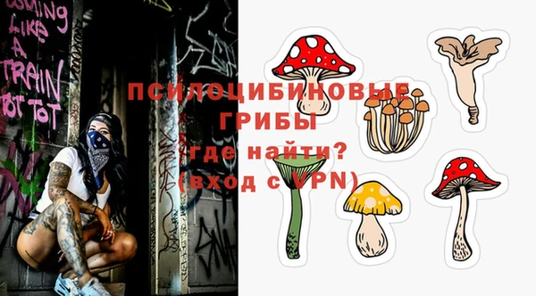 герыч Арсеньев