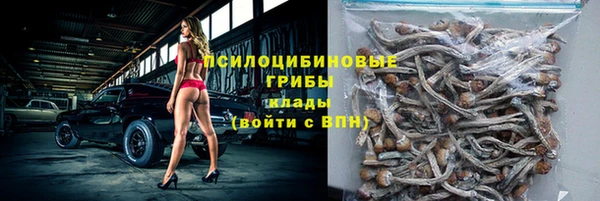 герыч Арсеньев