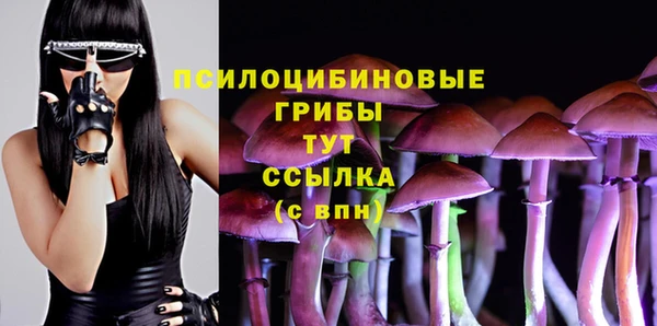 таблы Армянск