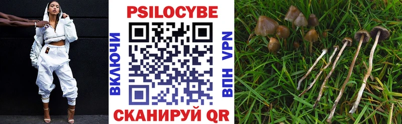 Галлюциногенные грибы мицелий  Талица 